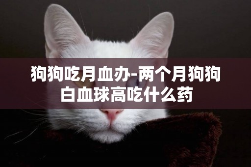 狗狗吃月血辦-兩個月狗狗白血球高吃什么藥