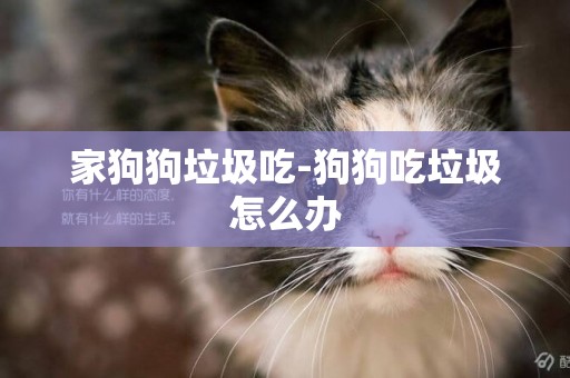 家狗狗垃圾吃-狗狗吃垃圾怎么辦