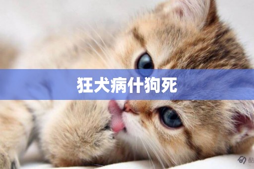 狂犬病什狗死