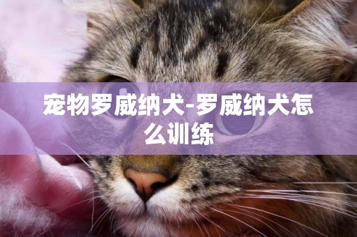 寵物羅威納犬-羅威納犬怎么訓練