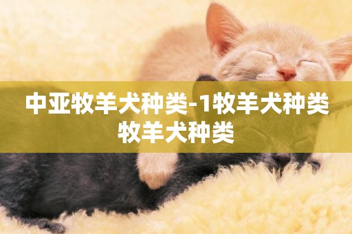 中亞牧羊犬種類-1牧羊犬種類牧羊犬種類