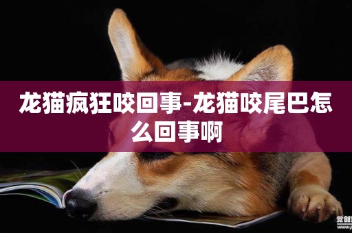 龍貓瘋狂咬回事-龍貓咬尾巴怎么回事啊