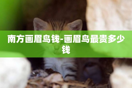 南方畫眉鳥錢-畫眉鳥最貴多少錢