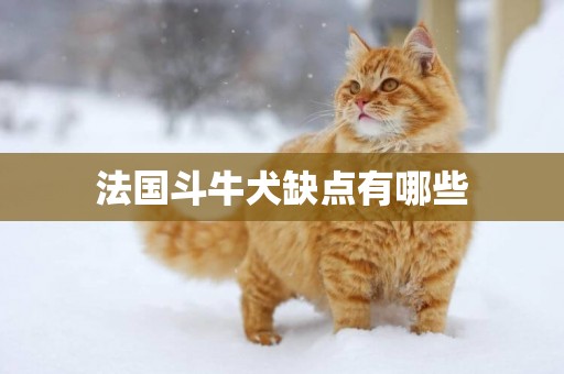 法國斗牛犬缺點有哪些