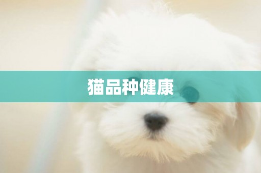 貓品種健康