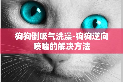 狗狗倒吸氣洗澡-狗狗逆向噴嚏的解決方法