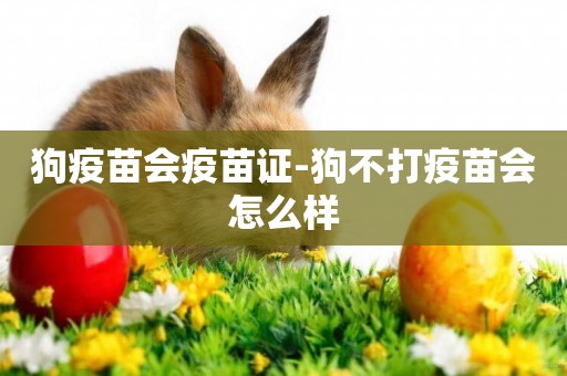 狗疫苗會疫苗證-狗不打疫苗會怎么樣