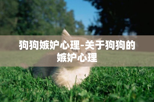 狗狗嫉妒心理-關于狗狗的嫉妒心理