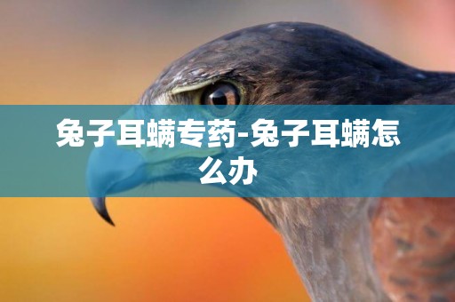 兔子耳螨專藥-兔子耳螨怎么辦