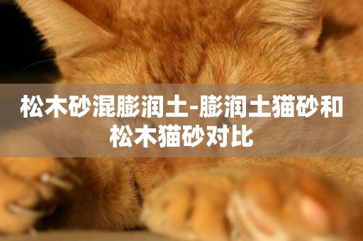 松木砂混膨潤土-膨潤土貓砂和松木貓砂對比