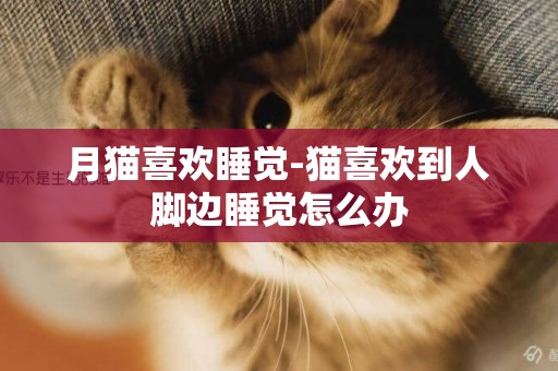月貓喜歡睡覺-貓喜歡到人腳邊睡覺怎么辦