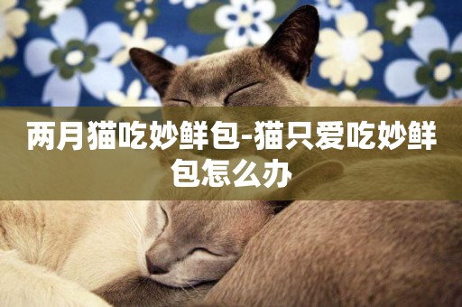 兩月貓吃妙鮮包-貓只愛吃妙鮮包怎么辦