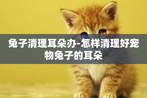 兔子清理耳朵辦-怎樣清理好寵物兔子的耳朵