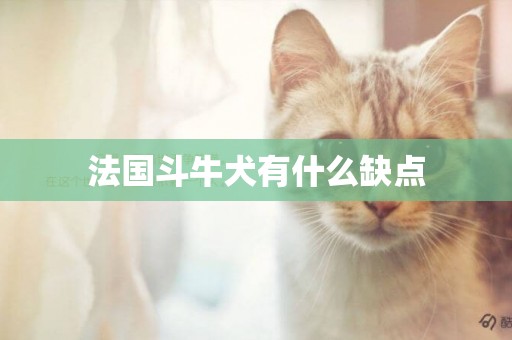 法國斗牛犬有什么缺點