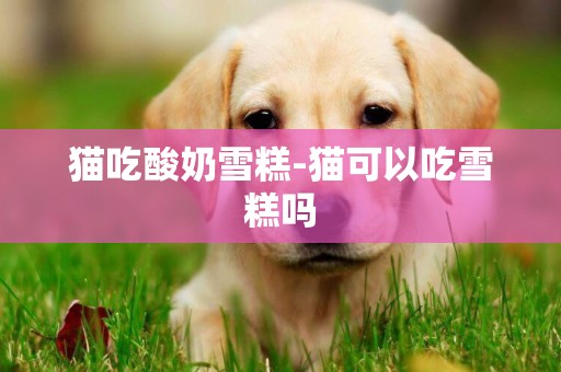貓吃酸奶雪糕-貓可以吃雪糕嗎