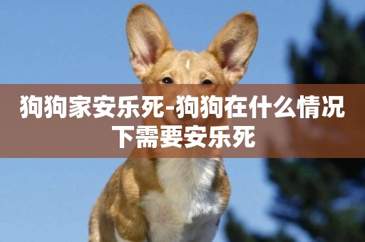 狗狗家安樂死-狗狗在什么情況下需要安樂死