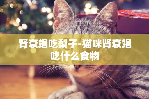 腎衰竭吃梨子-貓咪腎衰竭吃什么食物