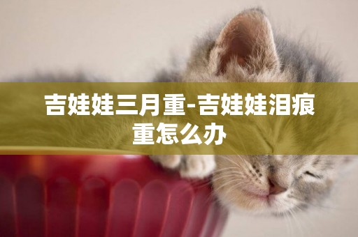 吉娃娃三月重-吉娃娃淚痕重怎么辦