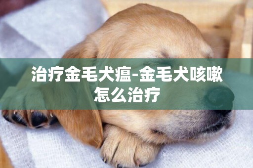 治療金毛犬瘟-金毛犬咳嗽怎么治療