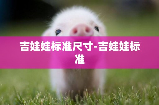 吉娃娃標準尺寸-吉娃娃標準