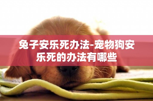 兔子安樂死辦法-寵物狗安樂死的辦法有哪些