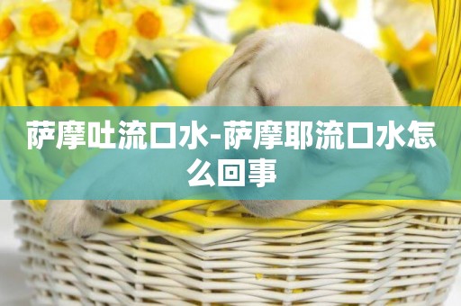 薩摩吐流口水-薩摩耶流口水怎么回事