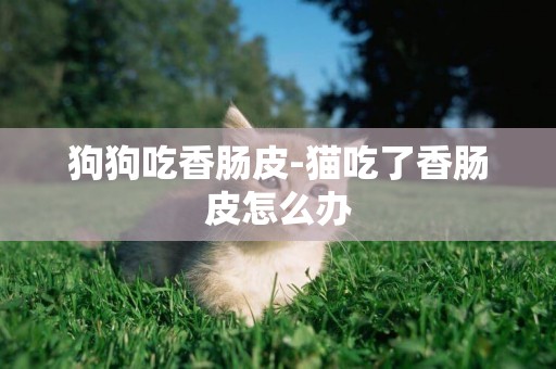 狗狗吃香腸皮-貓吃了香腸皮怎么辦