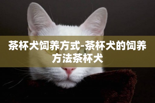 茶杯犬飼養方式-茶杯犬的飼養方法茶杯犬