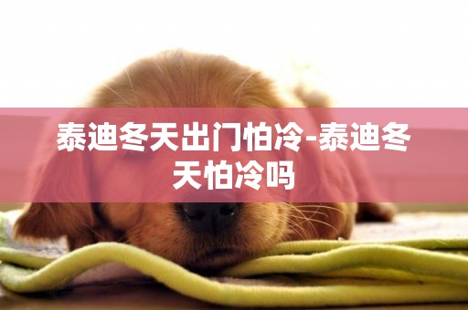 泰迪冬天出門怕冷-泰迪冬天怕冷嗎