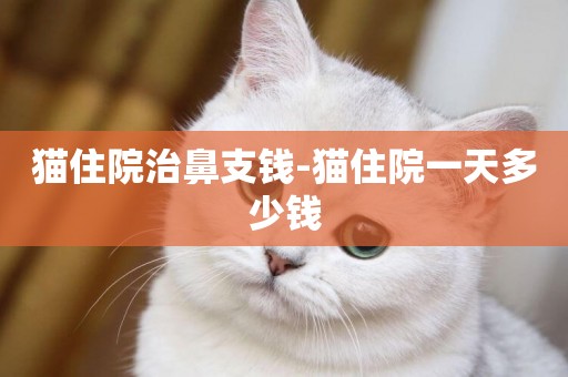 貓住院治鼻支錢-貓住院一天多少錢