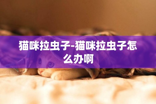 貓咪拉蟲子-貓咪拉蟲子怎么辦啊