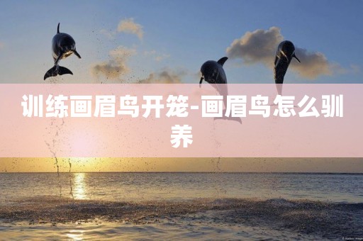 訓練畫眉鳥開籠-畫眉鳥怎么馴養