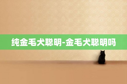 純金毛犬聰明-金毛犬聰明嗎