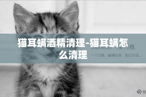 貓耳螨酒精清理-貓耳螨怎么清理