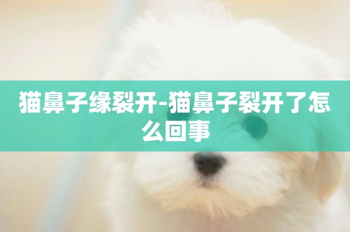 貓鼻子緣裂開-貓鼻子裂開了怎么回事
