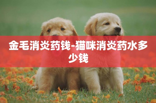 金毛消炎藥錢-貓咪消炎藥水多少錢