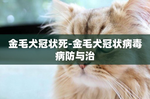 金毛犬冠狀死-金毛犬冠狀病毒病防與治