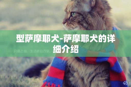 型薩摩耶犬-薩摩耶犬的詳細介紹