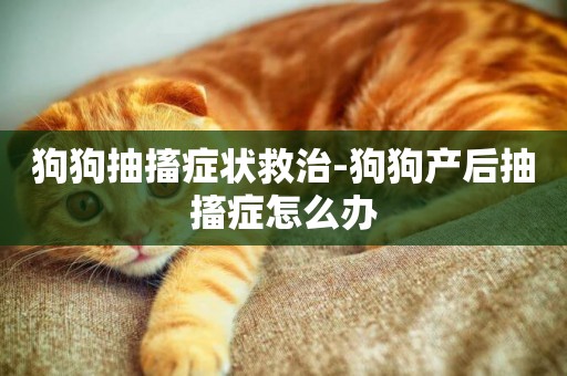 狗狗抽搐癥狀救治-狗狗產后抽搐癥怎么辦