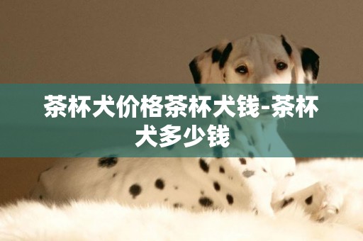 茶杯犬價格茶杯犬錢-茶杯犬多少錢