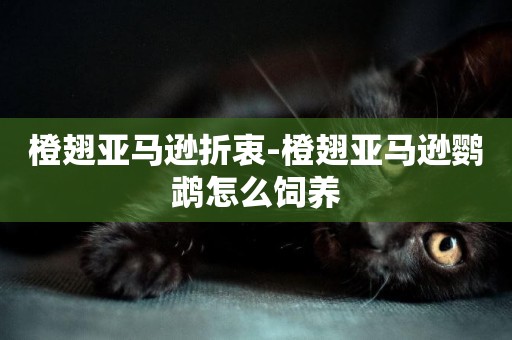 橙翅亞馬遜折衷-橙翅亞馬遜鸚鵡怎么飼養