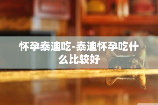 懷孕泰迪吃-泰迪懷孕吃什么比較好
