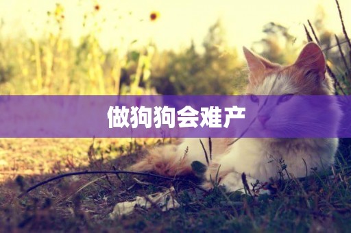 做狗狗會難產