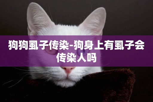 狗狗虱子傳染-狗身上有虱子會傳染人嗎