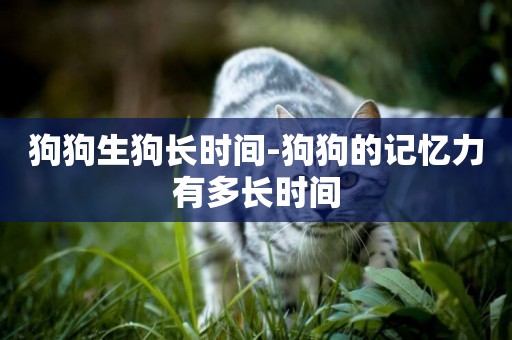 狗狗生狗長時間-狗狗的記憶力有多長時間
