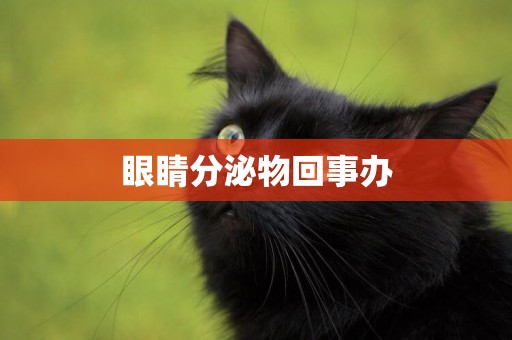 眼睛分泌物回事辦