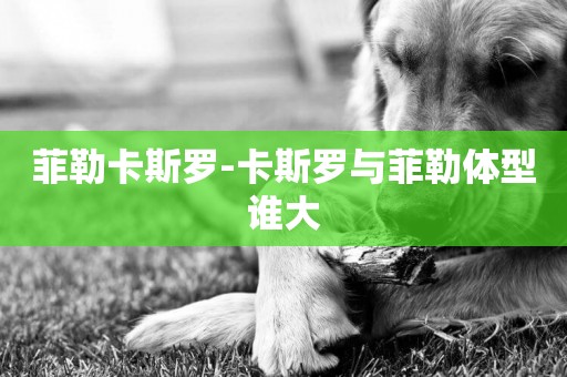 菲勒卡斯羅-卡斯羅與菲勒體型誰大