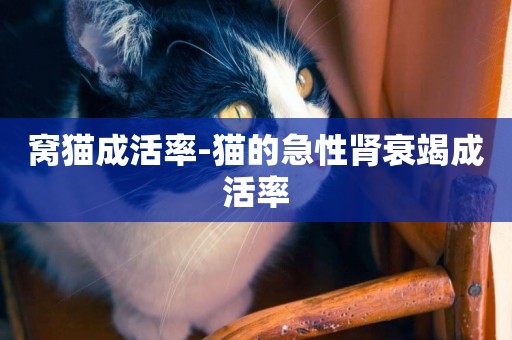 窩貓成活率-貓的急性腎衰竭成活率