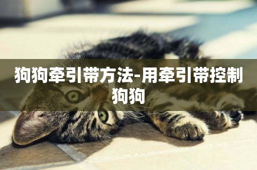 狗狗牽引帶方法-用牽引帶控制狗狗