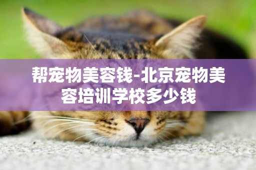 幫寵物美容錢-北京寵物美容培訓學校多少錢